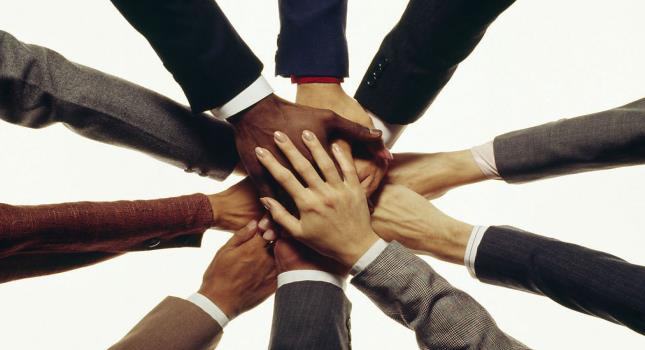 1637910239768332.jpg 10.jpg